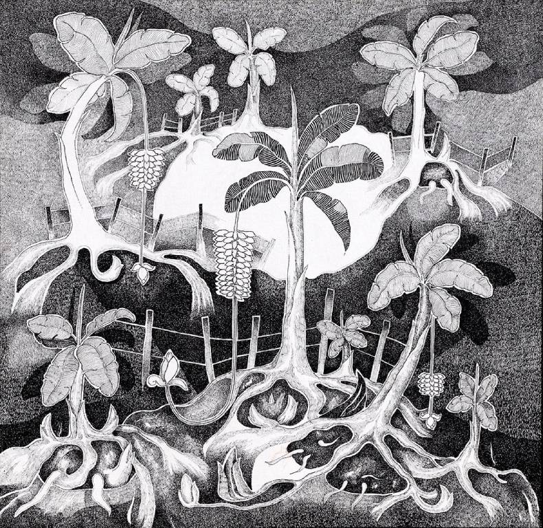 A Landscape of Roots and Arboreal Lace