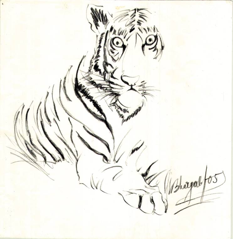 The original painting of Sitting Tiger is now available at a modern art gallery