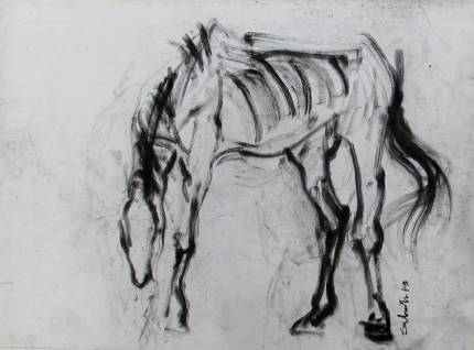 Grey Horse