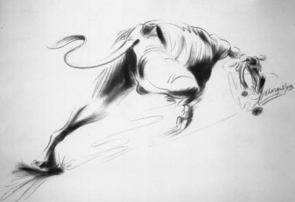 Buffalo is Running