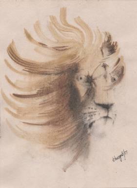 Maned Lion